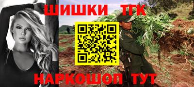 индика Аргун