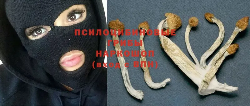 площадка официальный сайт  Большой Камень  Галлюциногенные грибы MAGIC MUSHROOMS  купить наркотики цена 