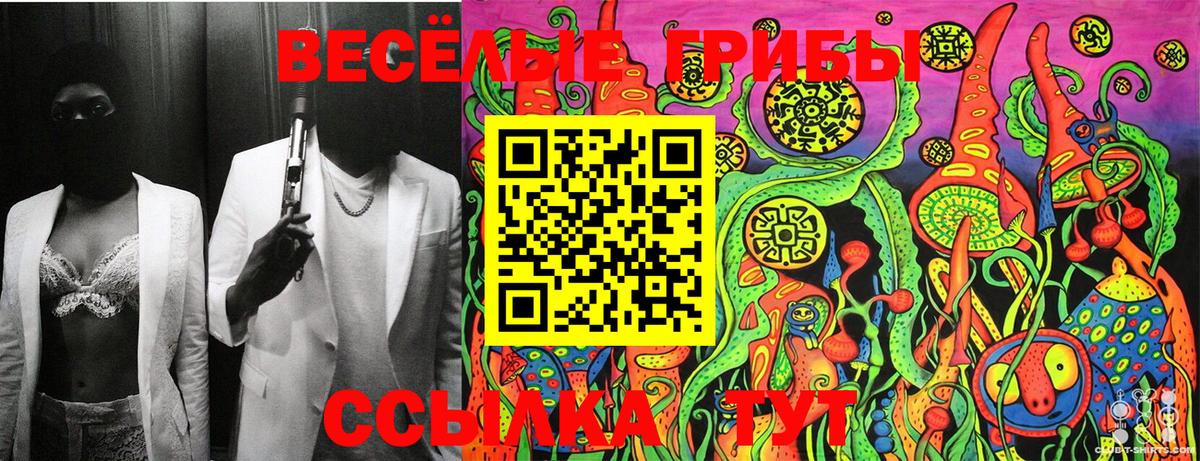 Псилоцибиновые грибы прущие грибы  Псилоцибиновые грибы Psilocybine cubensis  хочу наркоту  Большой Камень 