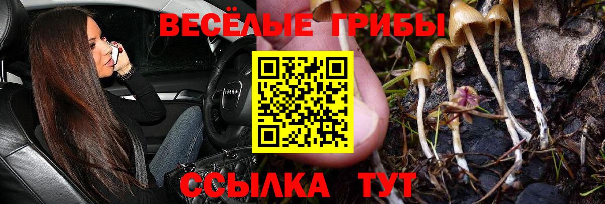 Галлюциногенные грибы мухоморы Большой Камень