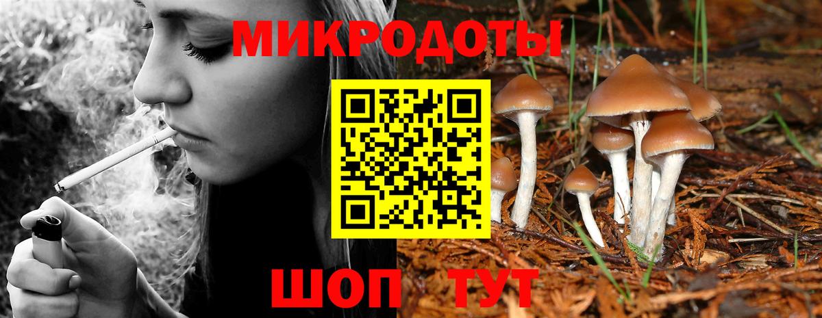 Псилоцибиновые грибы Magic Shrooms  Псилоцибиновые грибы Psilocybe  купить   Вход с VPN  Большой Камень 