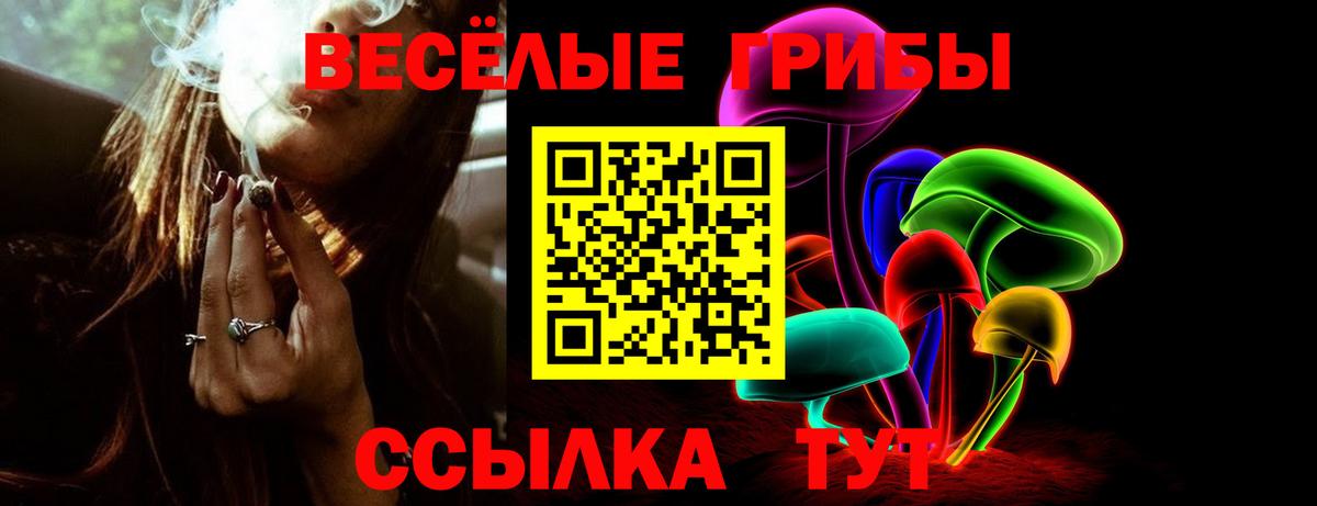 Галлюциногенные грибы прущие грибы Большой Камень